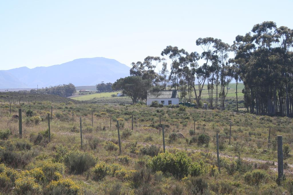 Infinity Farm Villa Riversdale Exterior photo